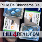 Pilule De Rhinocéros Bleu viagra5